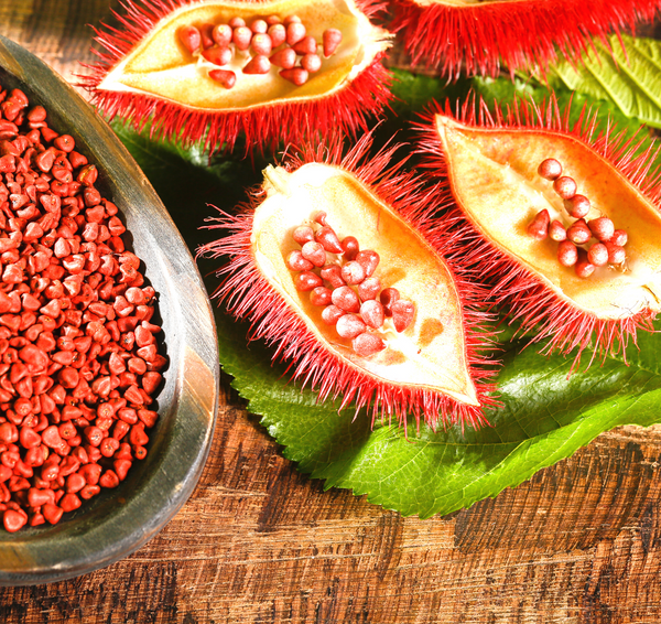 Annatto & Coconut Milk Soap